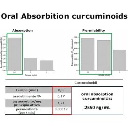 Curcumin Gel 95 20 Stick Packs of 5ml Each - Pack of 20