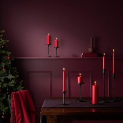 Bolsius Tapered Dinner Candles 17cm Dark Red 8-Pack - Long Burning Time of 5 Hours - Unscented - 25% Natural Vegan Wax