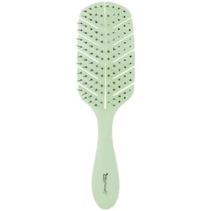 BIFULL Biodegradable Biofriendly Disc Brush Black Standard