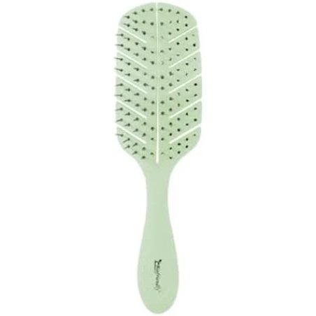 BIFULL Biodegradable Biofriendly Disc Brush Black Standard