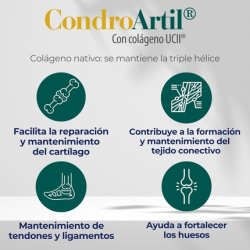 Chondroartil with Collagen UC-II 30 Capsules