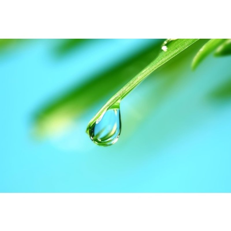 Liquid Vitamin D3 50ml