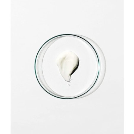 Grown Alchemist Detox Night Cream Crème de nuit Decollete, Visage, Cou 40 ml