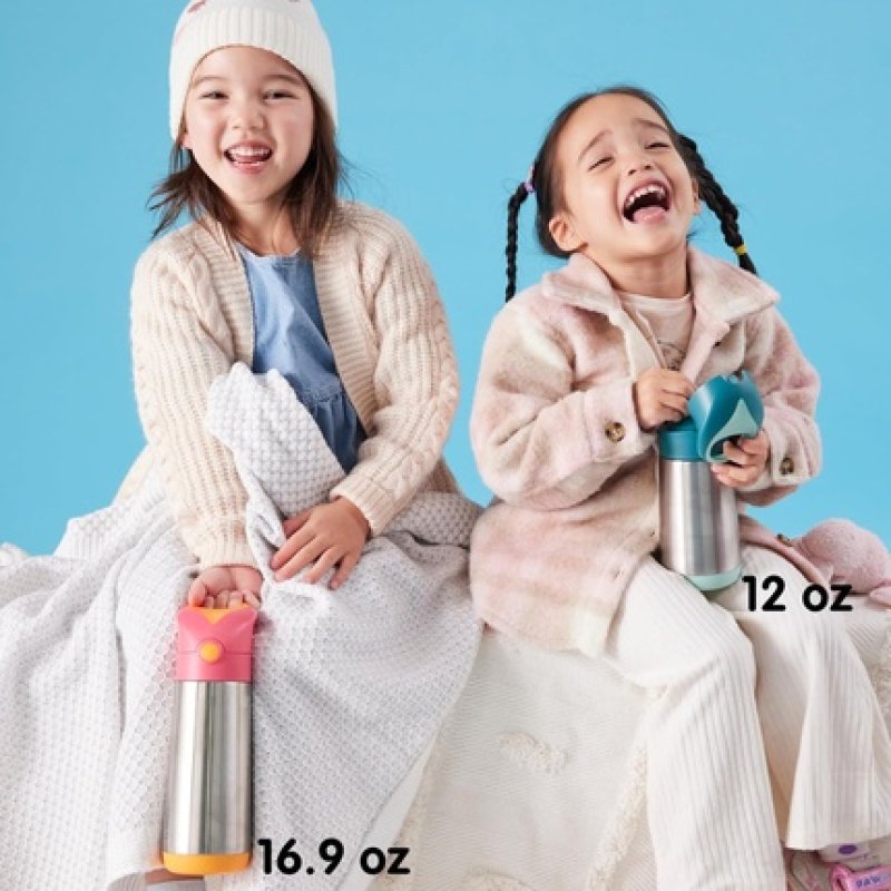 B.Box Insulated Stainless Steel Drink & Water Bottle with Triple Layer