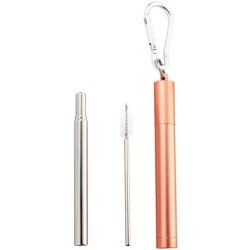 Naturalis Stainless Steel Straw Telescopic Set (Everyday Use)