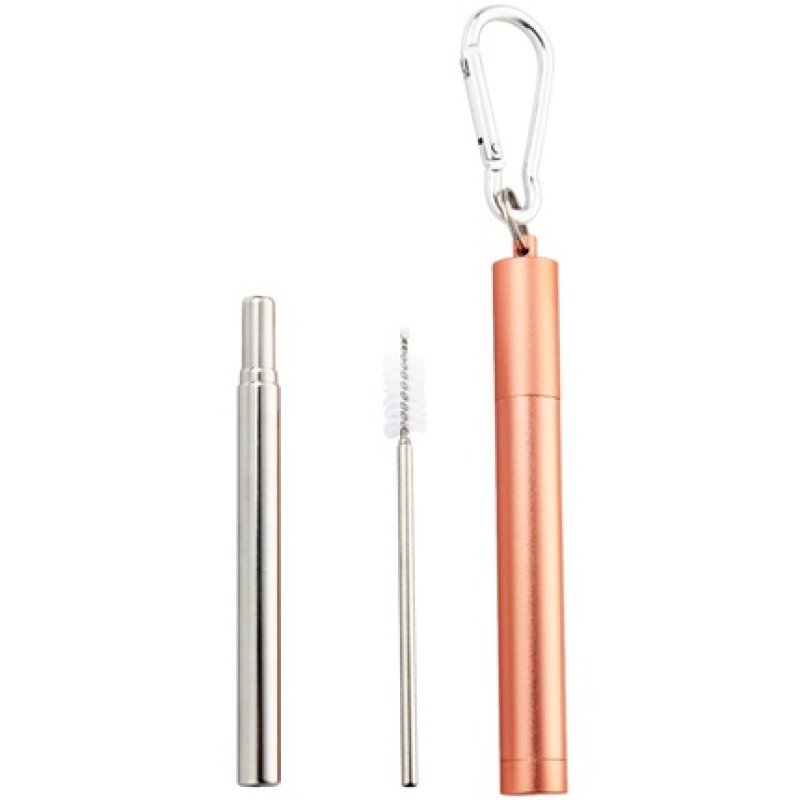Naturalis Stainless Steel Straw Telescopic Set (Everyday Use)