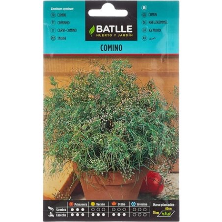 Batlle Aromatic Seeds Cumin 20cm