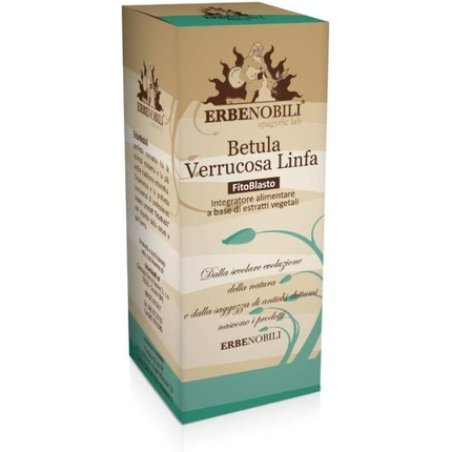 Erbenobili Betula Verrucosa Lymph 50ml 50g