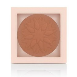 PASTEL Show Your Purity Face Powder No. 104 9.3g