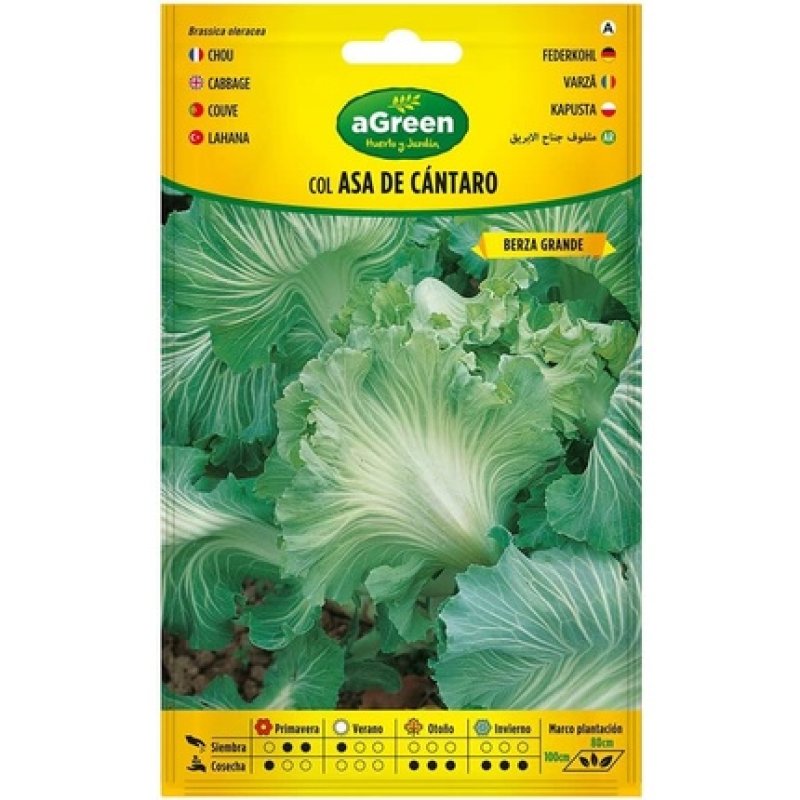 Seeds Col Cantaro on Handle