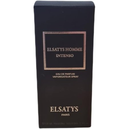 Reyane Tradition Elsatys Homme Intenso EDP 100ml