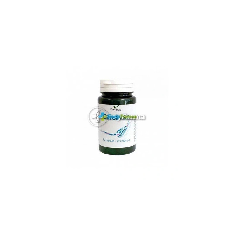 Phytoitalia Carsilven 60 Capsule - Dietary Supplement