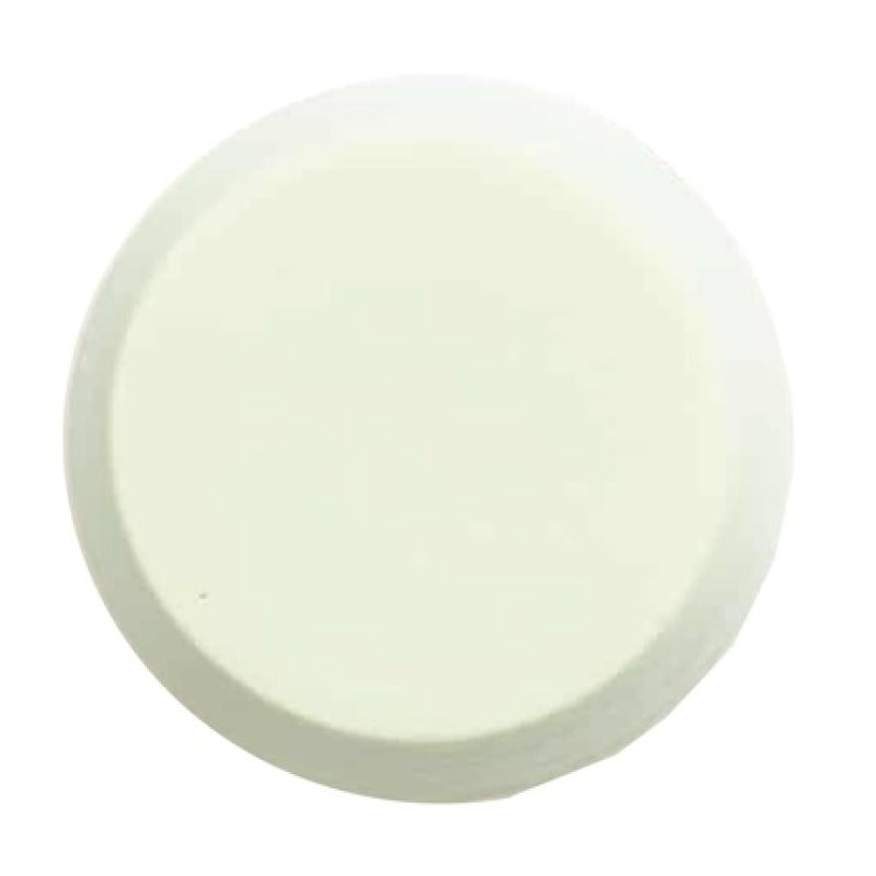 ShampooBars.nl Eucalyptus Conditioner Bar