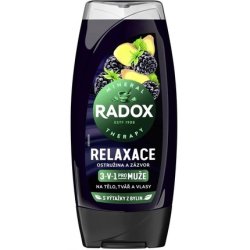 Radox Men Relax 3 In 1 Shower Gel For Men Blackberry And Ginger 225 Ml