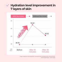 No.4 Hydration Glow Mineral Toner