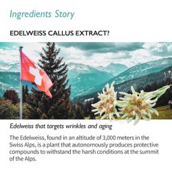 Edelweiss Lifting Serum Anti-Aging Formula with Edelweiss Extract