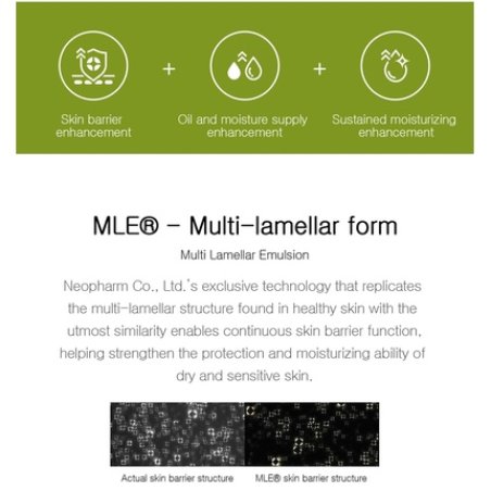 ZEROID Intensive Cream 80ml