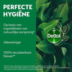 Dettol All Purpose Cleaner Spray Mandarin & Lemon Blossom
