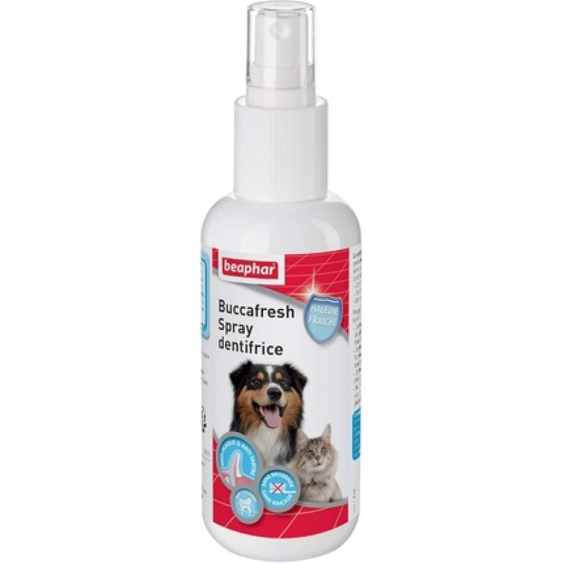 Beaphar Spray for Cleaning Dog and Cat Teeth Without Brushing