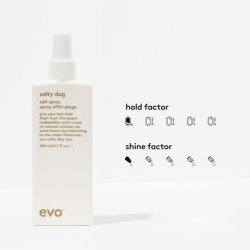 Evo Salty Dog Salt Spray Hair Texture & Volume Spray - Beach Textured Hair