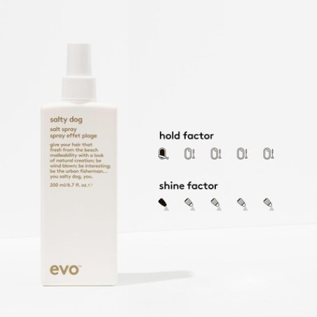 Evo Salty Dog Salt Spray Hair Texture & Volume Spray - Beach Textured Hair