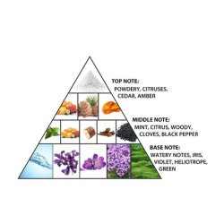 Al Haramain Vintage Silver Perfume for Women and Cologne for Men