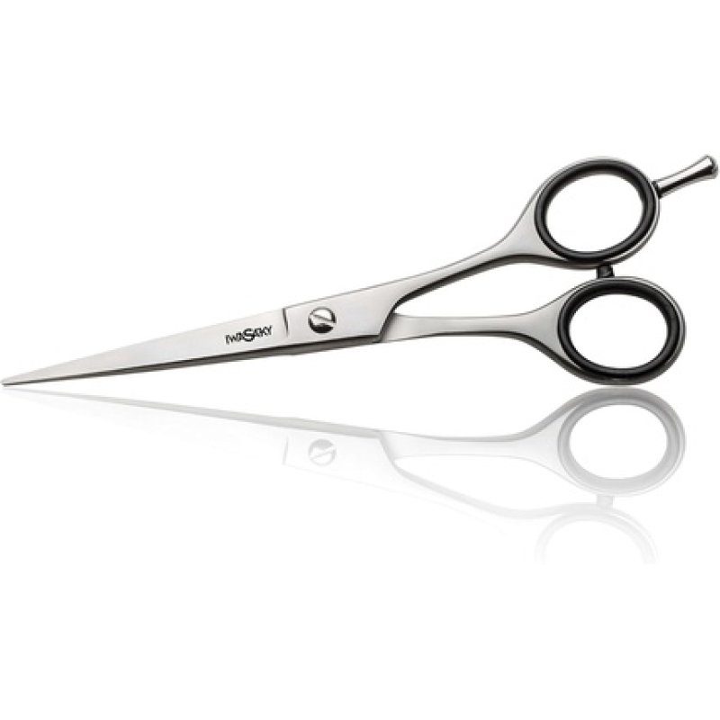 Iwasaki Steel Shears 5.5"