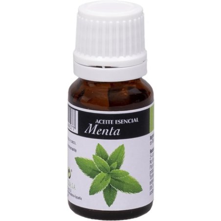 PL Mint Essence 10ml