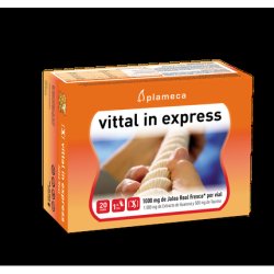 Plameca Vittal In Express