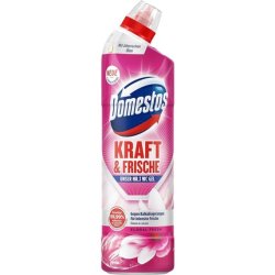 Domestos Power & Fresh Toilet Gel Floral Fresh Cleaning Agent with Fresh Flower Scent for Hygienic Cleanliness 750ml