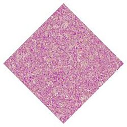 Nail Perfect 175 Disco Dolly