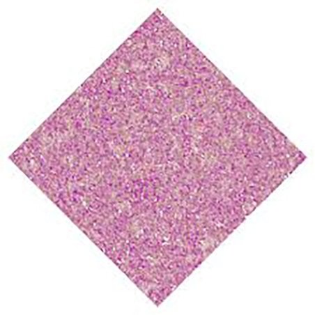 Nail Perfect 175 Disco Dolly