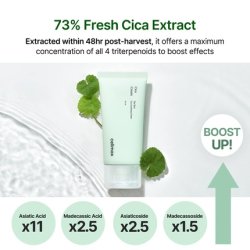 The Real Cica Soothing Cream