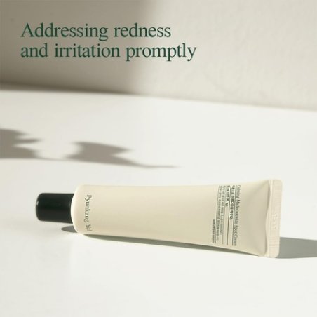[PKY] Pyunkang Yu Calming Madecasoside Spot Cream 30ml Calming Spot Cream 1.01 Fl.oz.