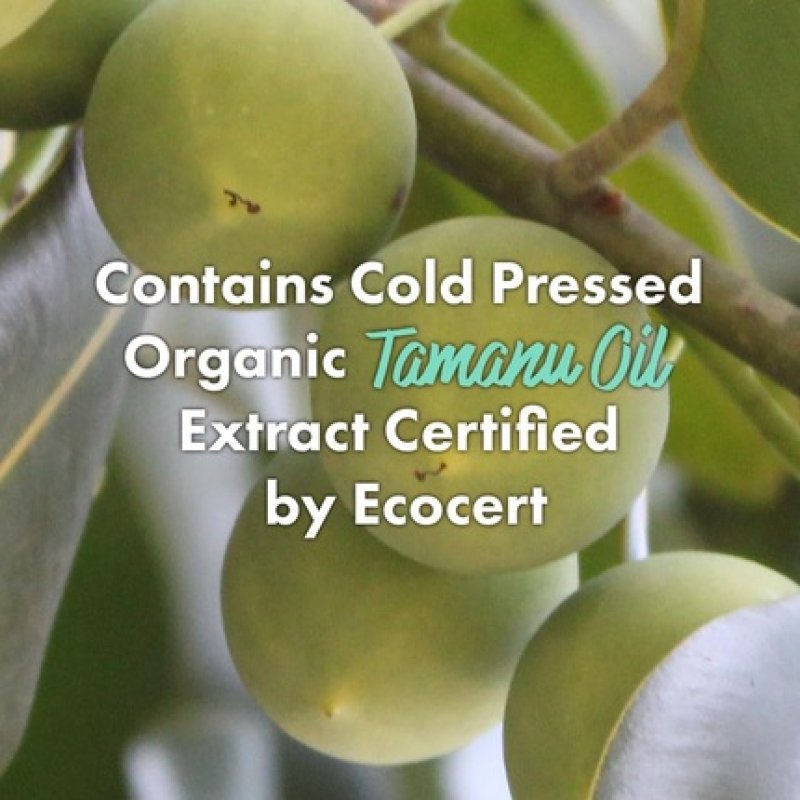 Rated Green Cold Press Tamanu Oil Soothing Scalp