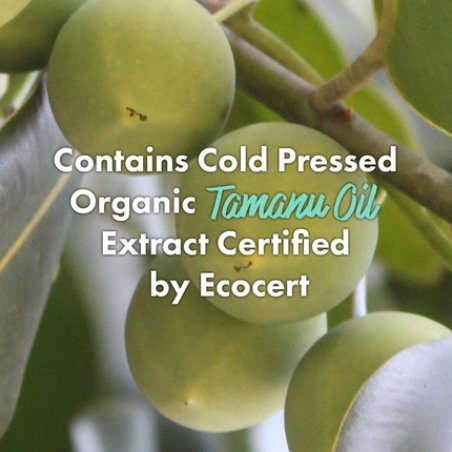 Rated Green Cold Press Tamanu Oil Soothing Scalp