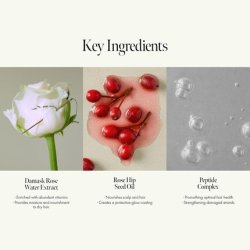 Rosy Night Repair Hair Essence with Damask Rose Extract, Rosehip Oil, and Peptide