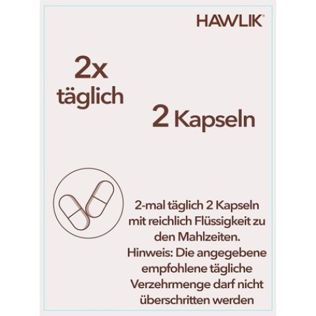 HAWLIK Hericium Extract Capsules 60 Capsules