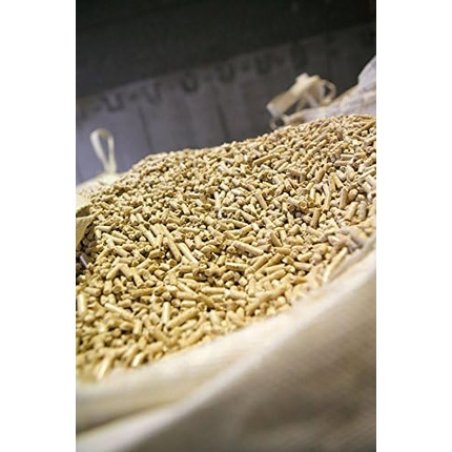 Pellet Product Made from 100% Sawdust of Wood - Fichte Wood