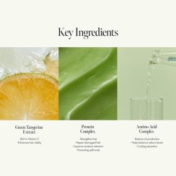 Lime Sunday Refresh Hair Conditioner with Vitamin C, Protein, and Amino Acids