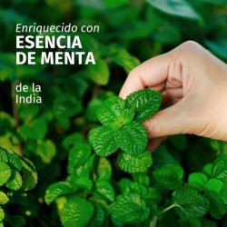 Herbal Essences Purifying Shampoo with Mint Scent 350ml