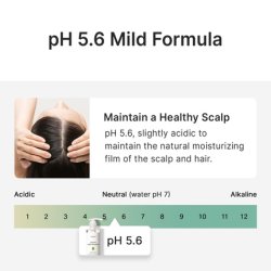 Refreshing Scalp Shampoo with Biotin and Panthenol for Dry, Itchy Scalp - Paraben-Free