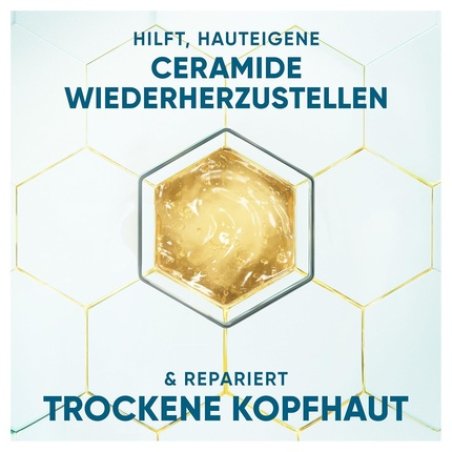 Head & Shoulders Dermaxpro Scalp Revitalizer Anti-Dandruff Shampoo 250ml