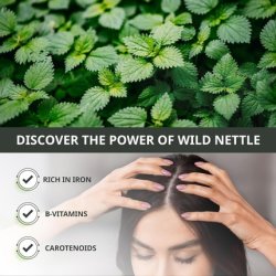 Milva Hair Tonic with Nettle Extract Sebum Control Lotion for Oily Hair