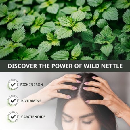 Milva Hair Tonic with Nettle Extract Sebum Control Lotion for Oily Hair