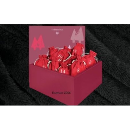 Dr. Hauschka Beauty Advent Calendar 2024