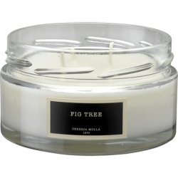 Cerería Mollá Boutique - Plant Wax 3 Wick Decorative Tin Scented Fig Tree Candle