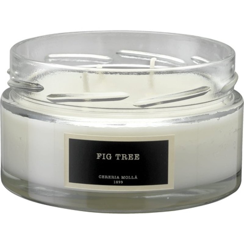 Cerería Mollá Boutique - Plant Wax 3 Wick Decorative Tin Scented Fig Tree Candle