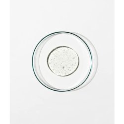 Grown Alchemist Damask Rose, Black Pepper, and Sage Shampoo for Healthy, Hydrated, and Shiny Hair 500mL