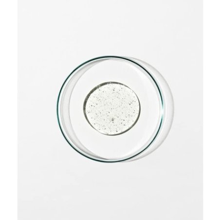 Grown Alchemist Damask Rose, Black Pepper, and Sage Shampoo for Healthy, Hydrated, and Shiny Hair 500mL